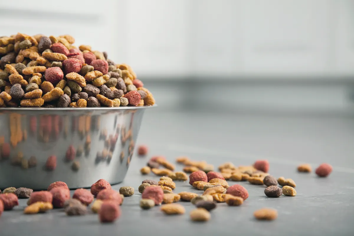 Dog Food Bowl